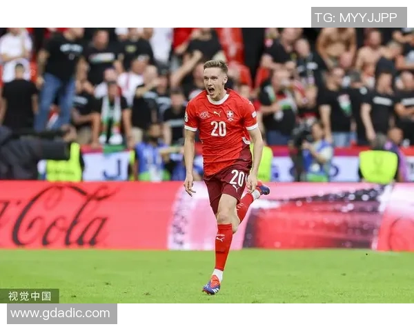 瑞士足球明星球员盘点及其成就与贡献